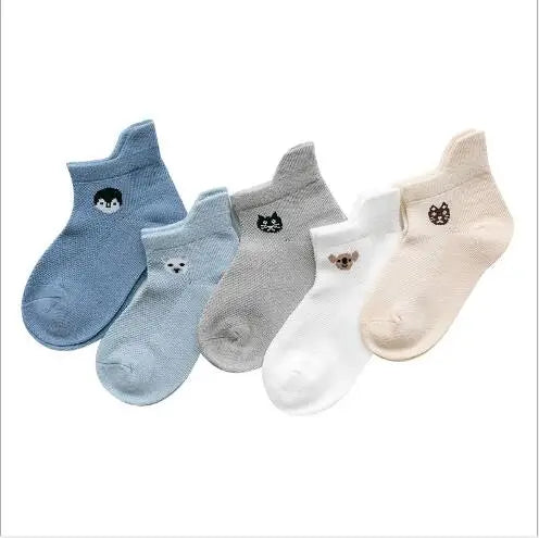 Color Pop Socks